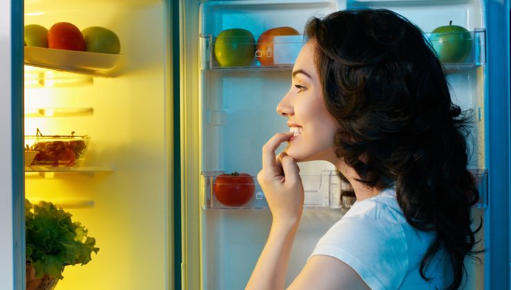 Il sito web perfetto per sapere come conservare il cibo in frigo o nel freezer