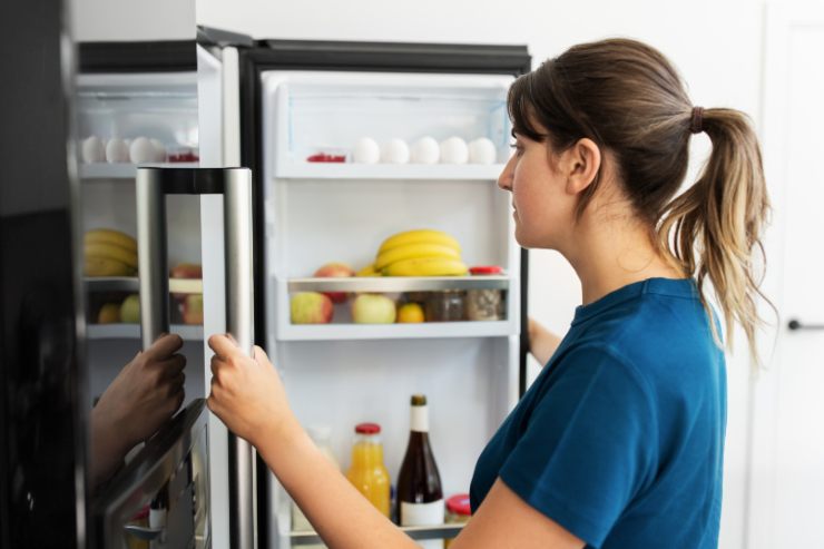un vecchio frigorifero è meglio di molti rivali moderni