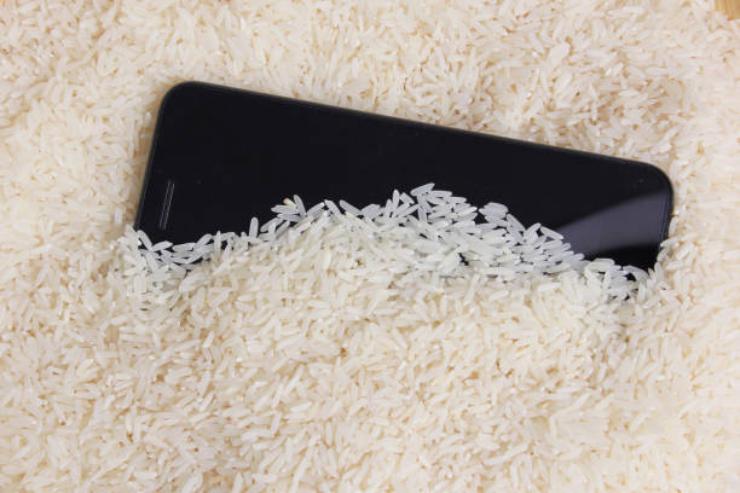 IPhone nel riso conseguenze
